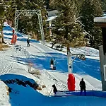 101 A Taveyanne 10pax Gryon