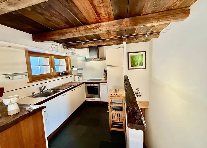 101 A Taveyanne 10pax Appartement Gryon