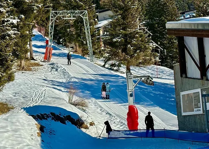 101 A Taveyanne 10pax Gryon