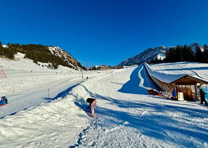 Appartement 101 A Taveyanne 10pax Gryon